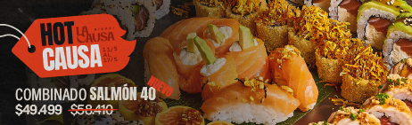 Imagen de Hot Causa - Salmón 40