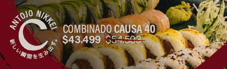 Imagen de Antojo Nikkei- Causa 40